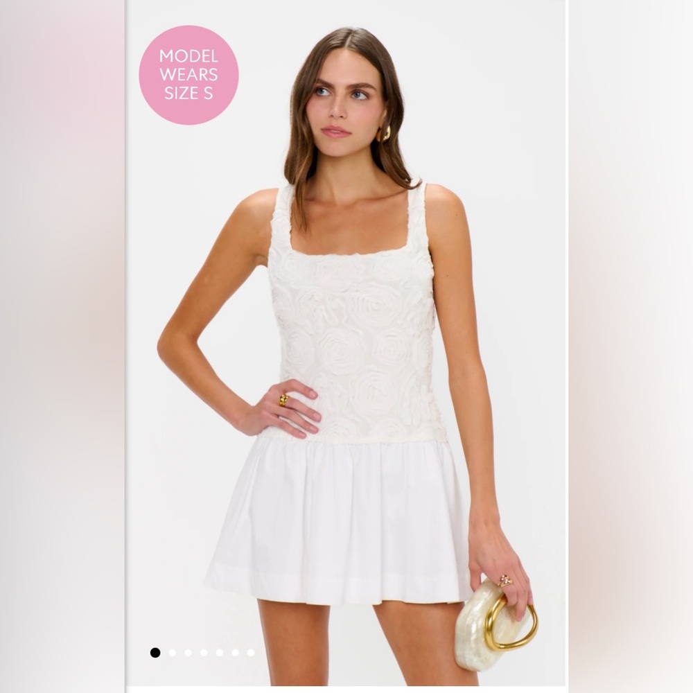 Show Me Your MuMu Bradshaw Mini Dress-Rosette Mesh White